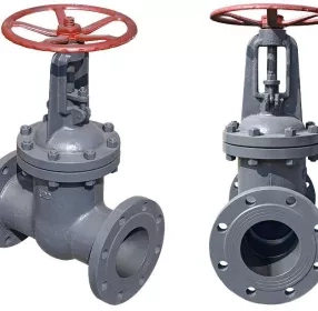 ода, пар, масло, нефть, природный газ, жидкие неагрессивные нефтепродукты, неагрессивные жидкие и газообразные среды, по отношению к которым, материалы применяемые в задвижке коррозионностойкие